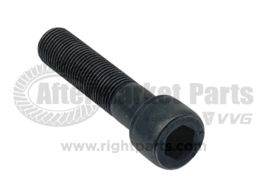 11703012 Socket Head Capscrew