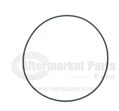 31703060 O-Ring