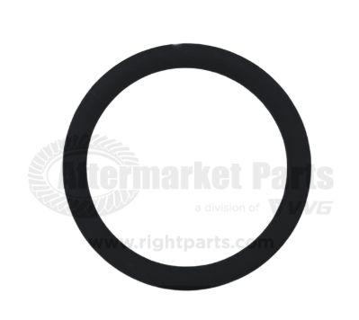 31703079 O-Ring