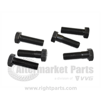 11706004 Capscrew M20x65 Hx 10.9