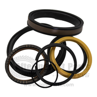 Head/Piston Seal Kit Main Boom Cylinder