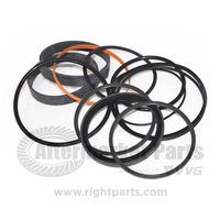 Hydraulic Bore Seal Kit