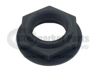 Diff Pinion Flngd Lock Nut