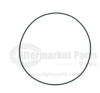 31703060 O-Ring