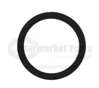 31703079 O-Ring