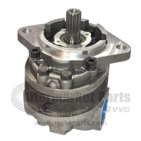 Hydraulic Pump