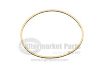 Ring Seal