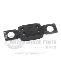 60 Amp Fuse